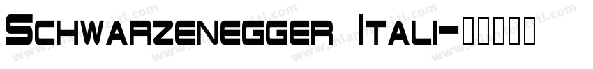Schwarzenegger Itali字体转换